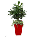 Wholesale Artificial Planter Pot for Garden